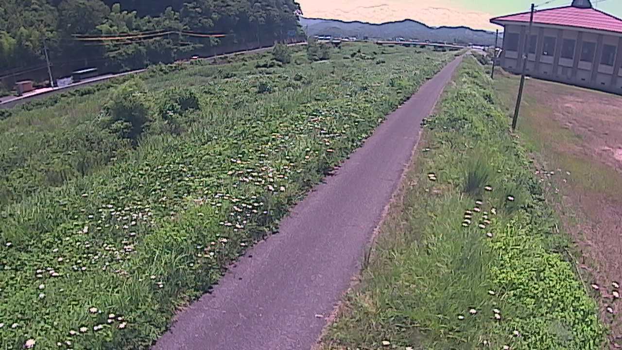 新袋川・袋川　6.6ｋｍ左岸