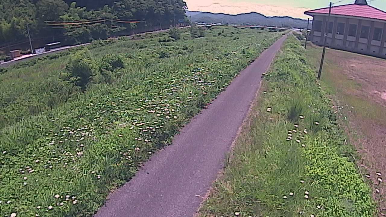 新袋川・袋川　6.6ｋｍ左岸