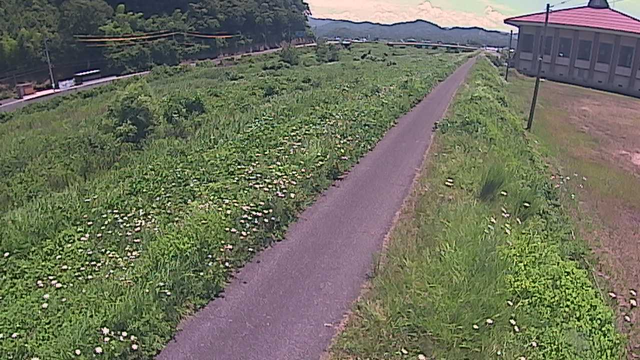 新袋川・袋川　6.6ｋｍ左岸