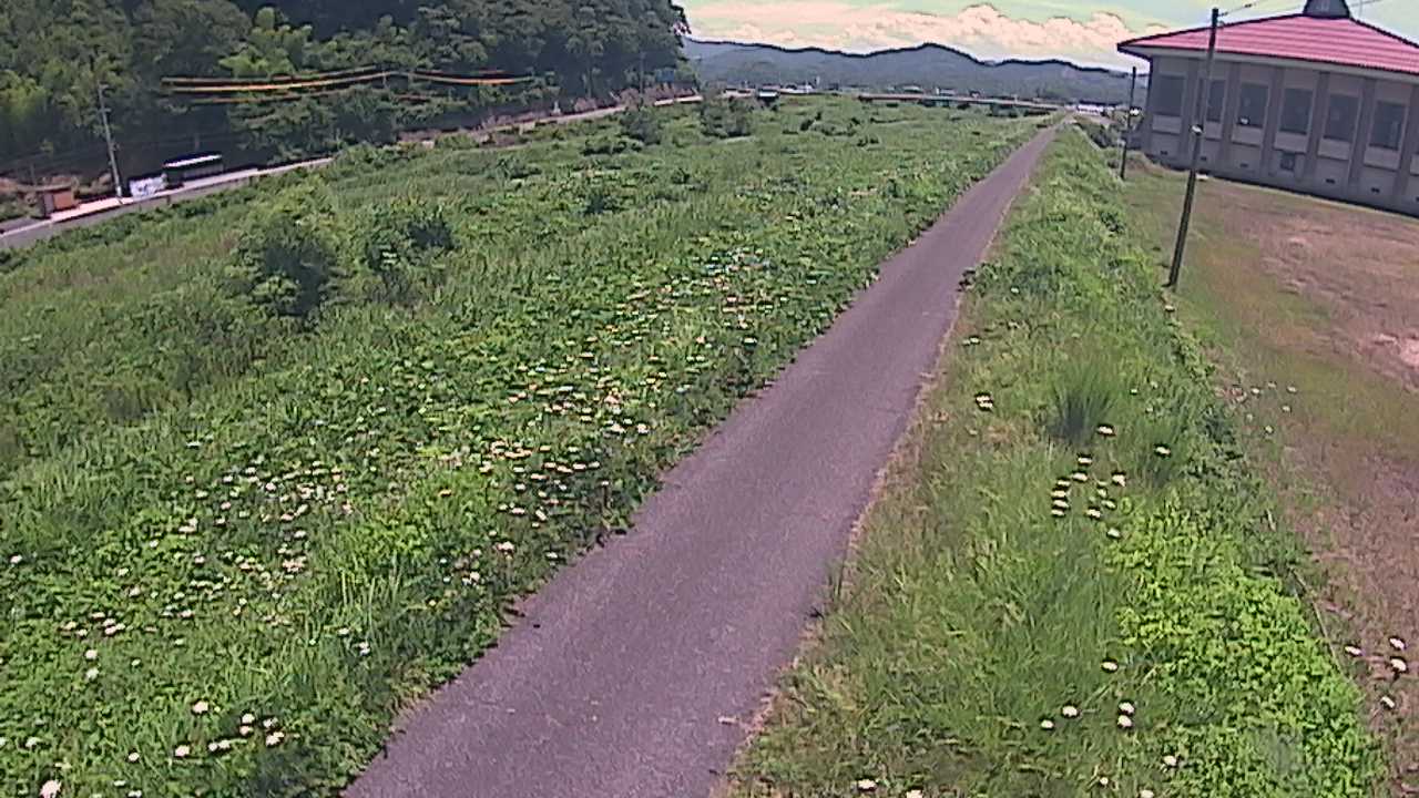 新袋川・袋川　6.6ｋｍ左岸