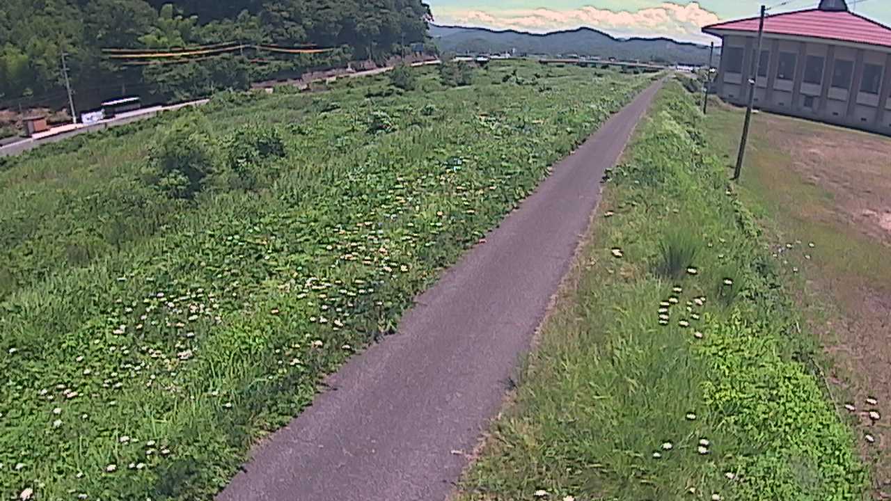 新袋川・袋川　6.6ｋｍ左岸