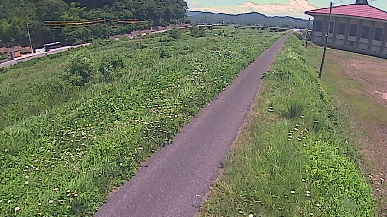 新袋川・袋川　6.6ｋｍ左岸