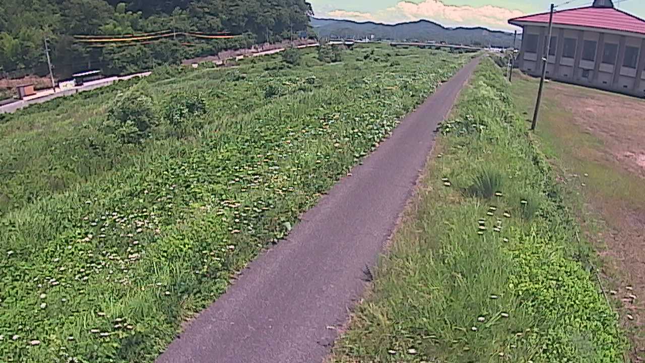 新袋川・袋川　6.6ｋｍ左岸