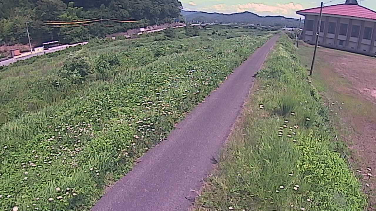 新袋川・袋川　6.6ｋｍ左岸