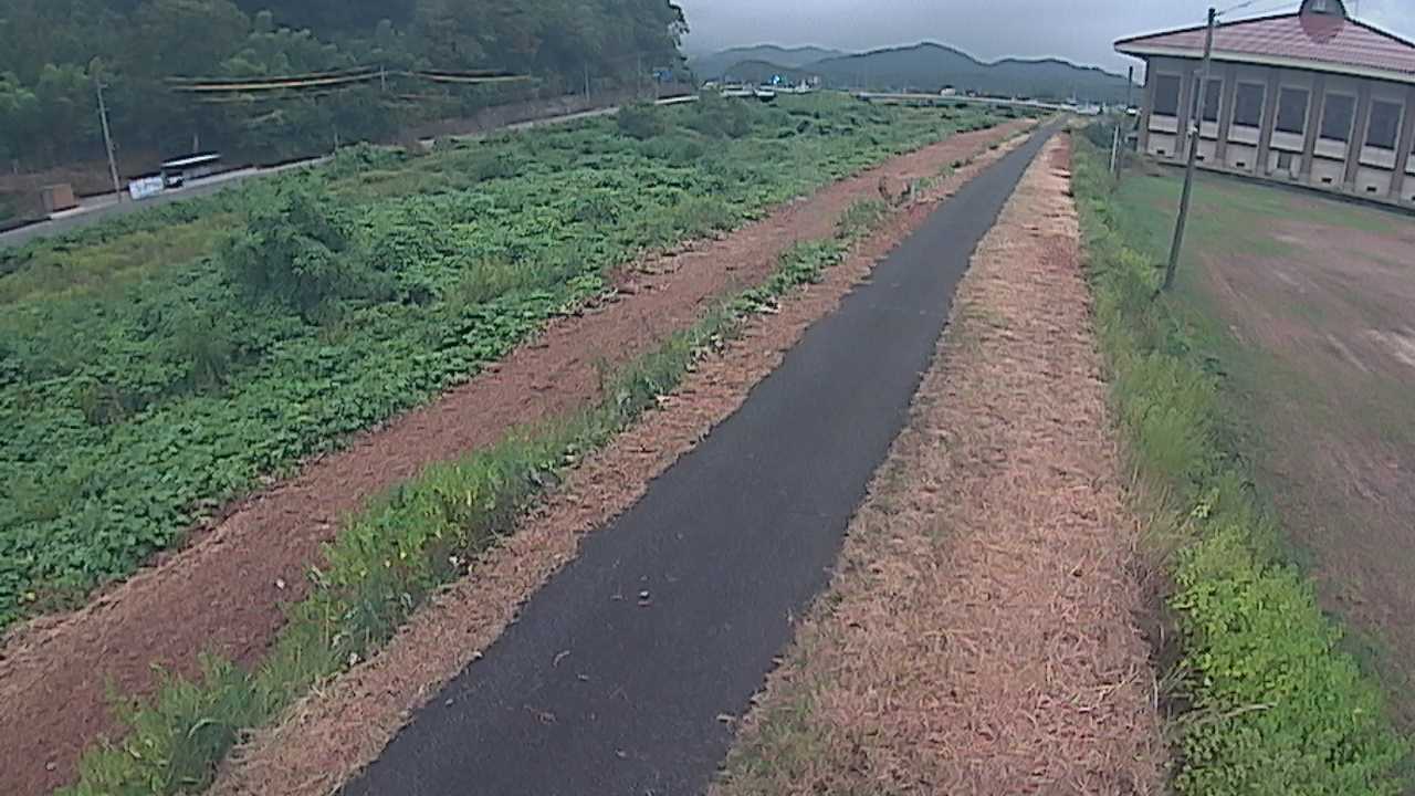 新袋川・袋川　6.6ｋｍ左岸
