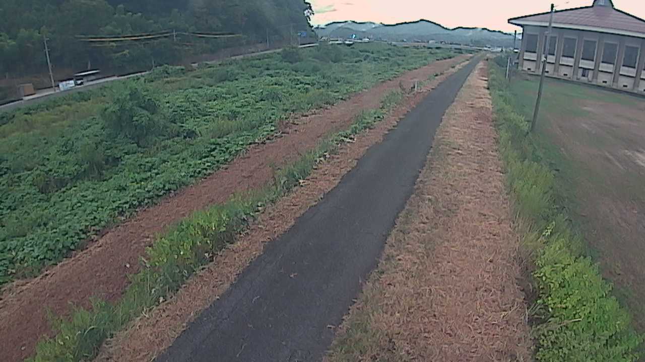 新袋川・袋川　6.6ｋｍ左岸