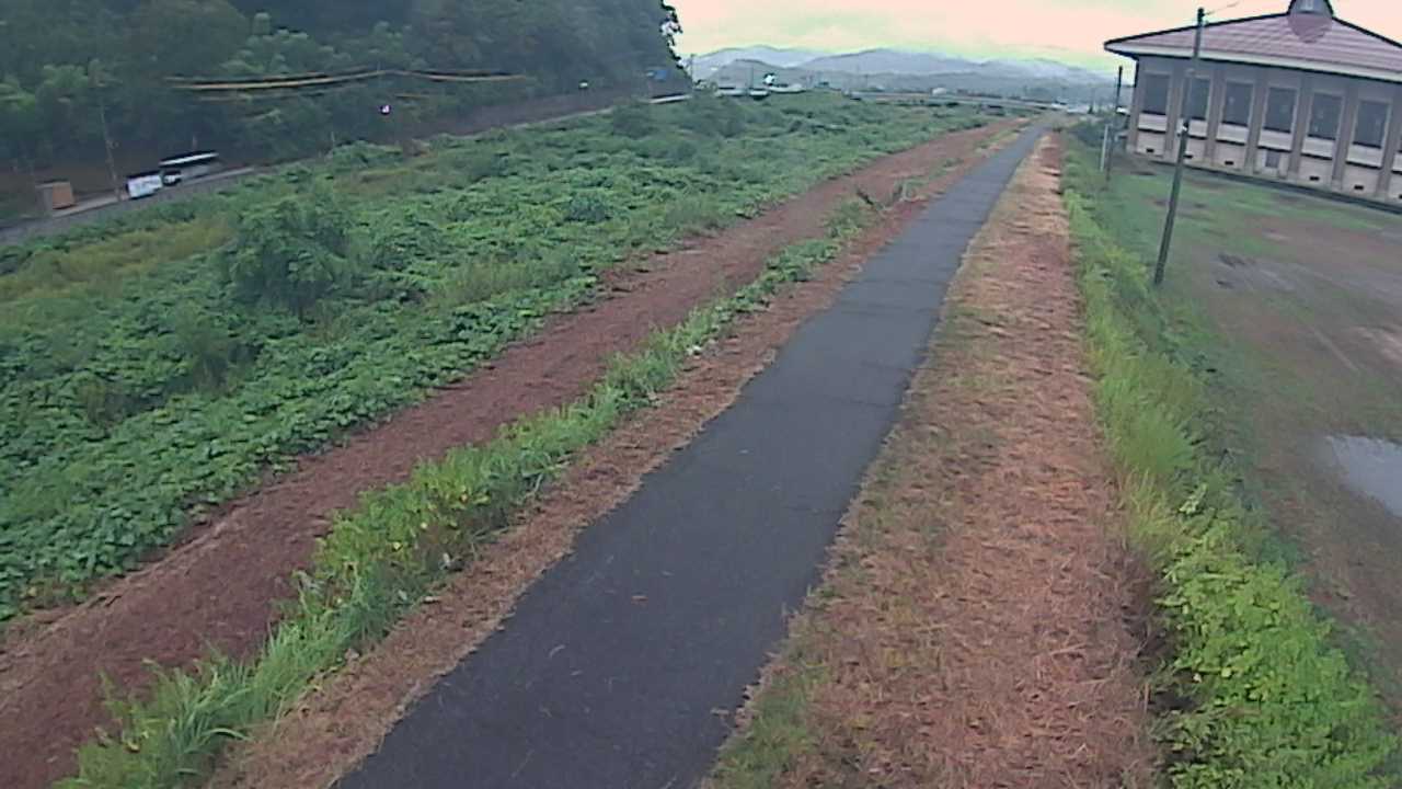 新袋川・袋川　6.6ｋｍ左岸