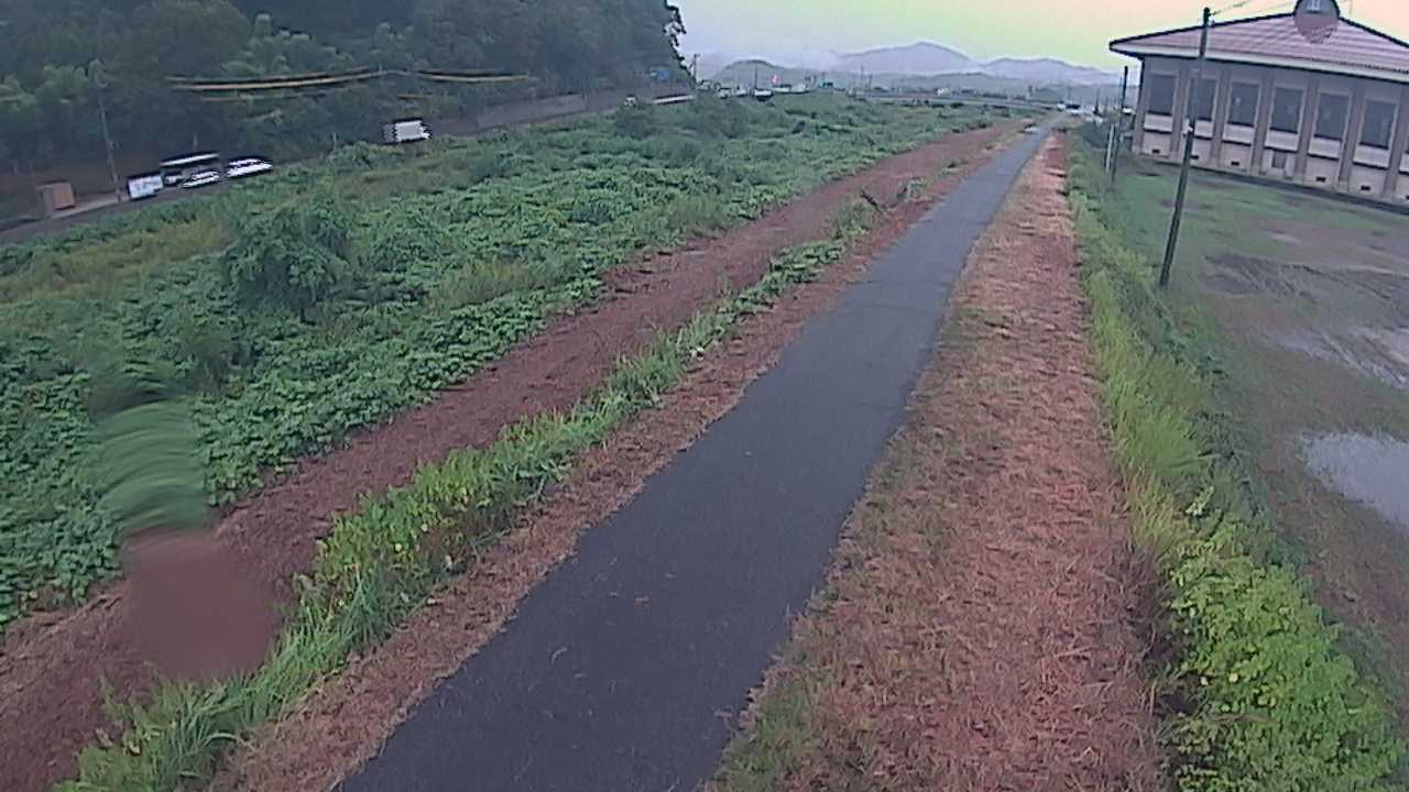 新袋川・袋川　6.6ｋｍ左岸