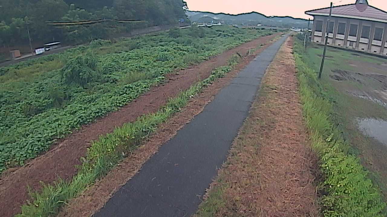 新袋川・袋川　6.6ｋｍ左岸