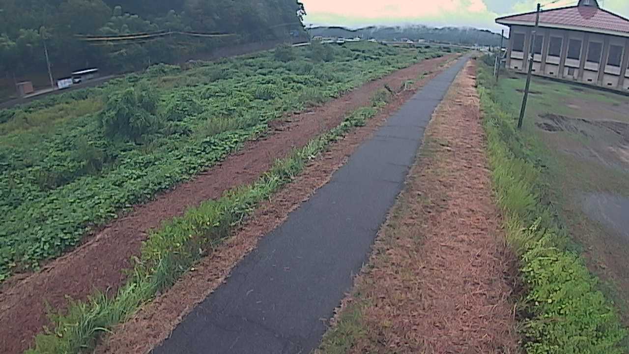 新袋川・袋川　6.6ｋｍ左岸