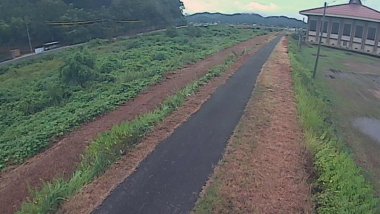 新袋川・袋川　6.6ｋｍ左岸