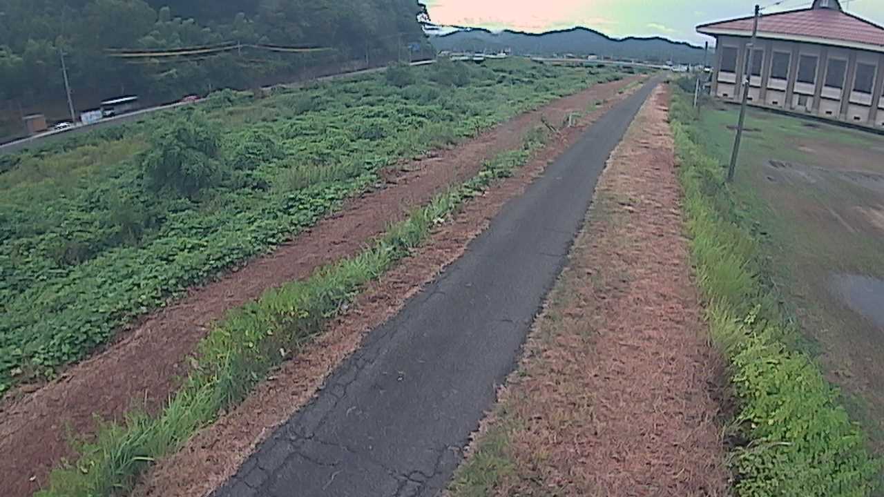 新袋川・袋川　6.6ｋｍ左岸