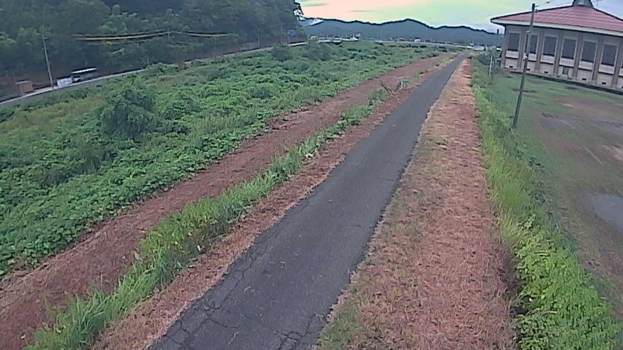 新袋川・袋川　6.6ｋｍ左岸