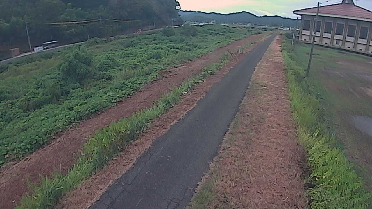 新袋川・袋川　6.6ｋｍ左岸