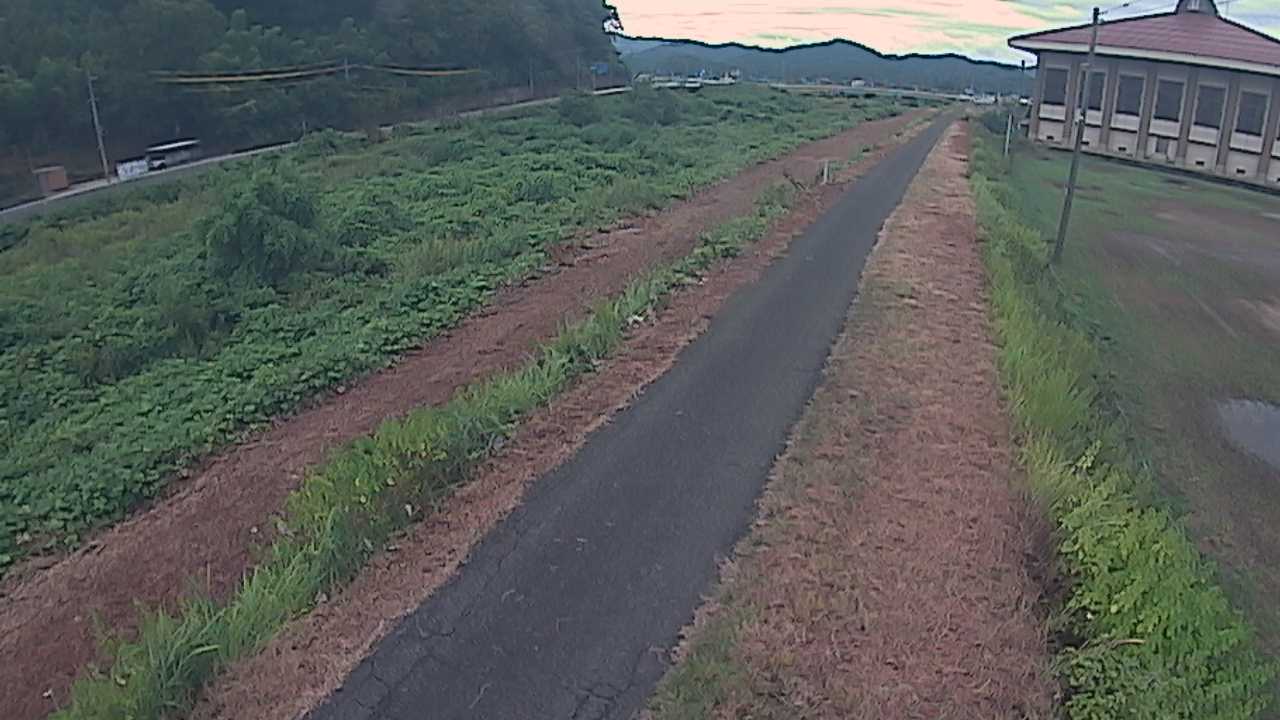 新袋川・袋川　6.6ｋｍ左岸
