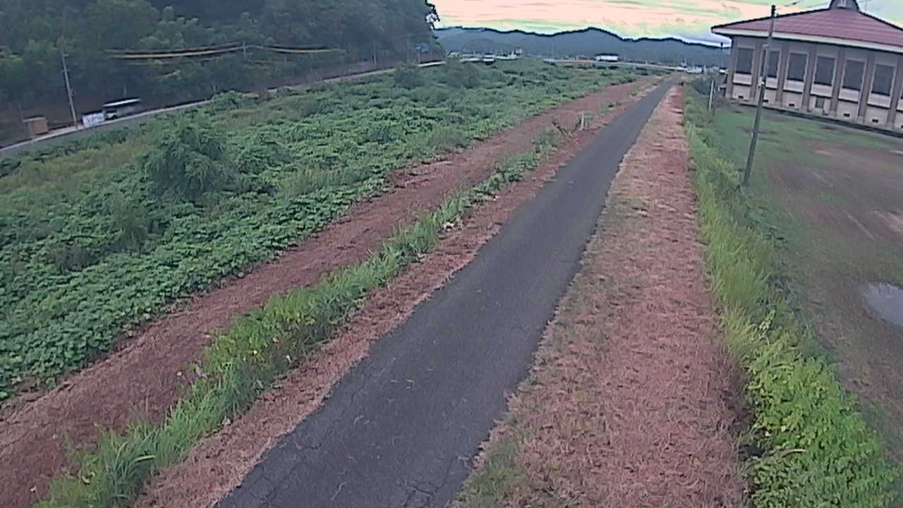 新袋川・袋川　6.6ｋｍ左岸