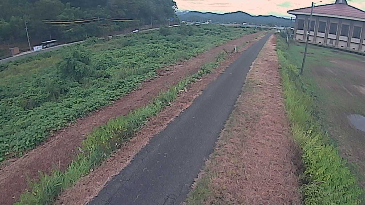 新袋川・袋川　6.6ｋｍ左岸