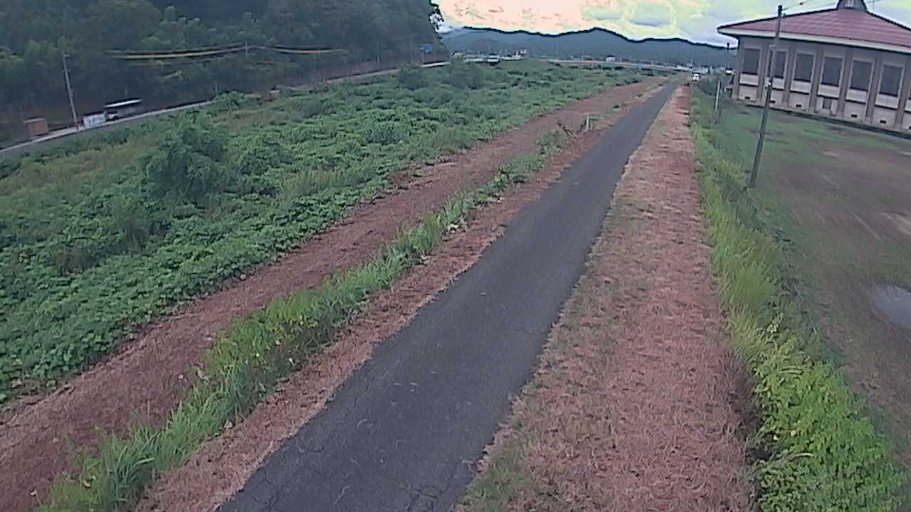 新袋川・袋川　6.6ｋｍ左岸