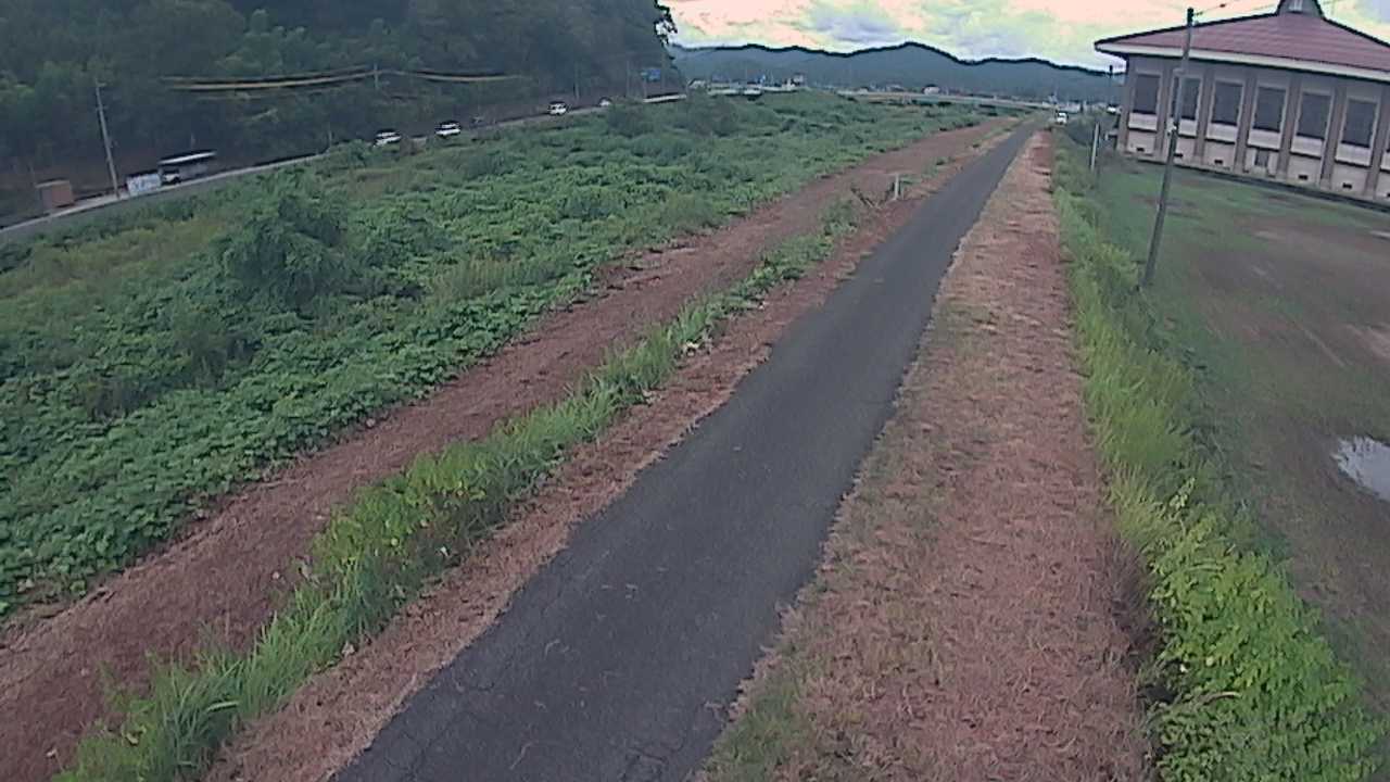 新袋川・袋川　6.6ｋｍ左岸