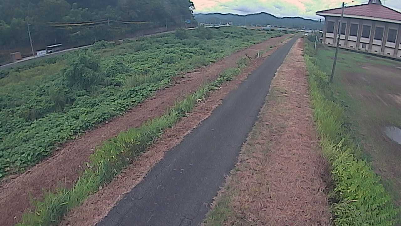 新袋川・袋川　6.6ｋｍ左岸