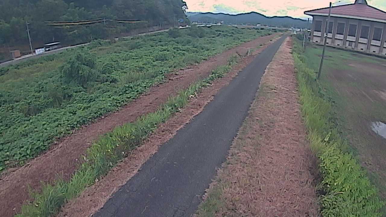新袋川・袋川　6.6ｋｍ左岸