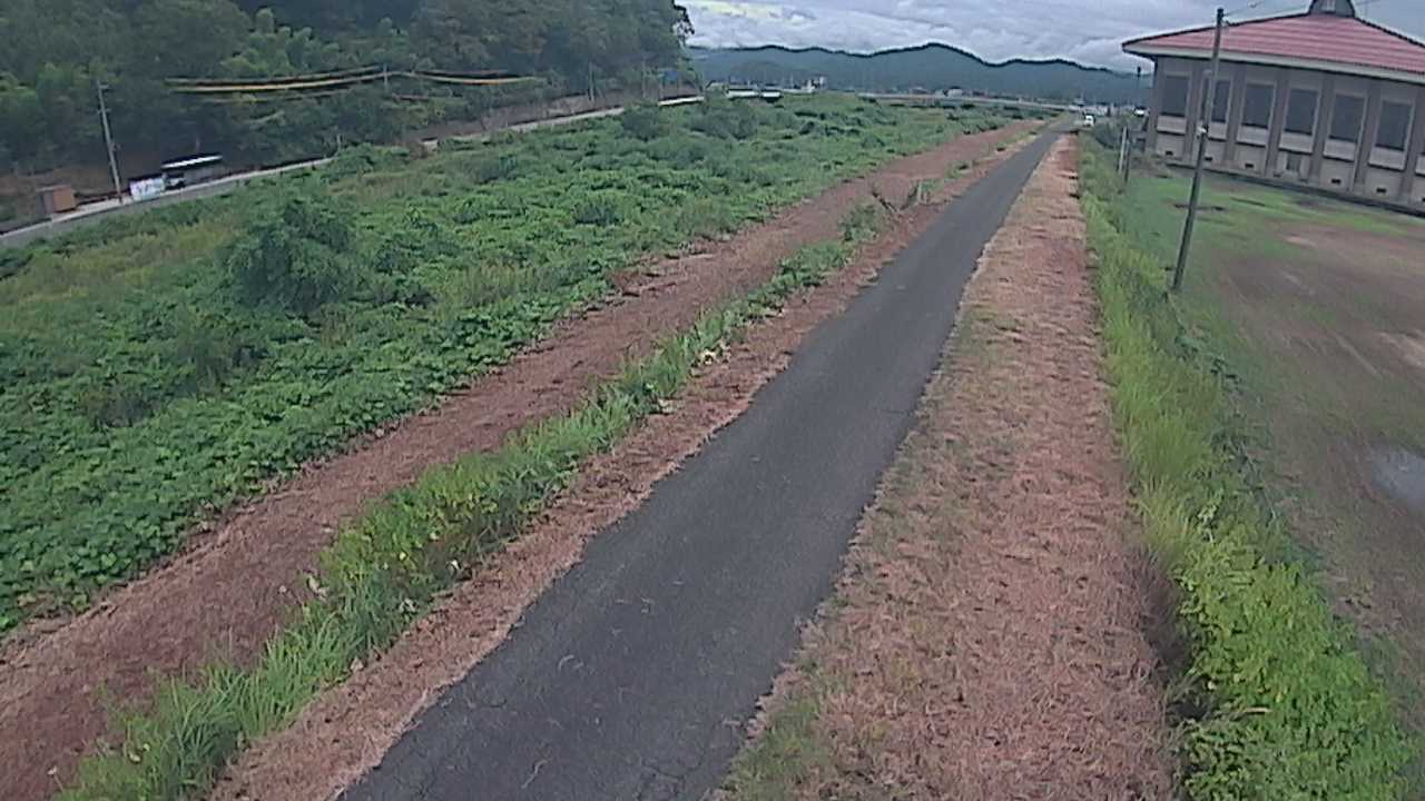 新袋川・袋川　6.6ｋｍ左岸