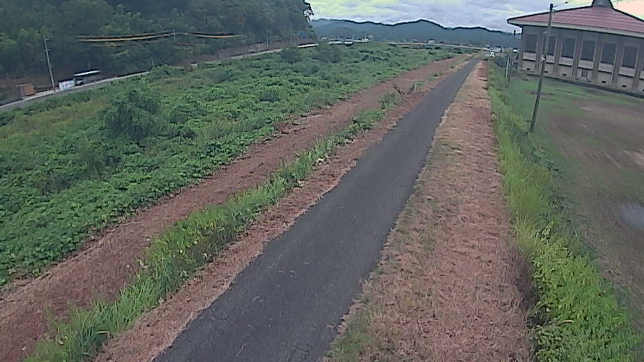 新袋川・袋川　6.6ｋｍ左岸