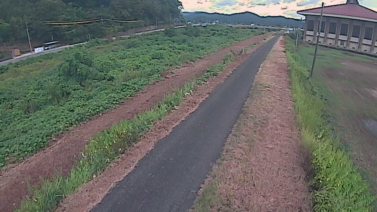 新袋川・袋川　6.6ｋｍ左岸