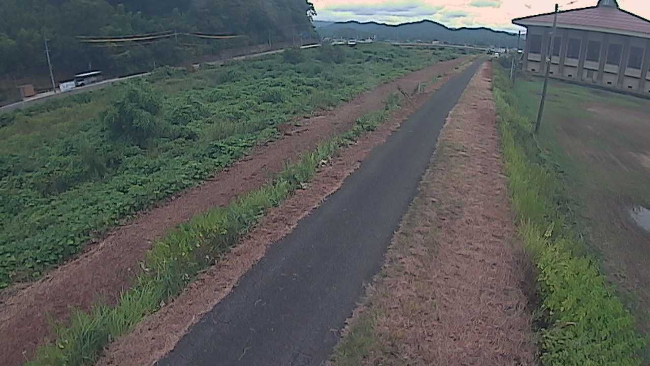 新袋川・袋川　6.6ｋｍ左岸