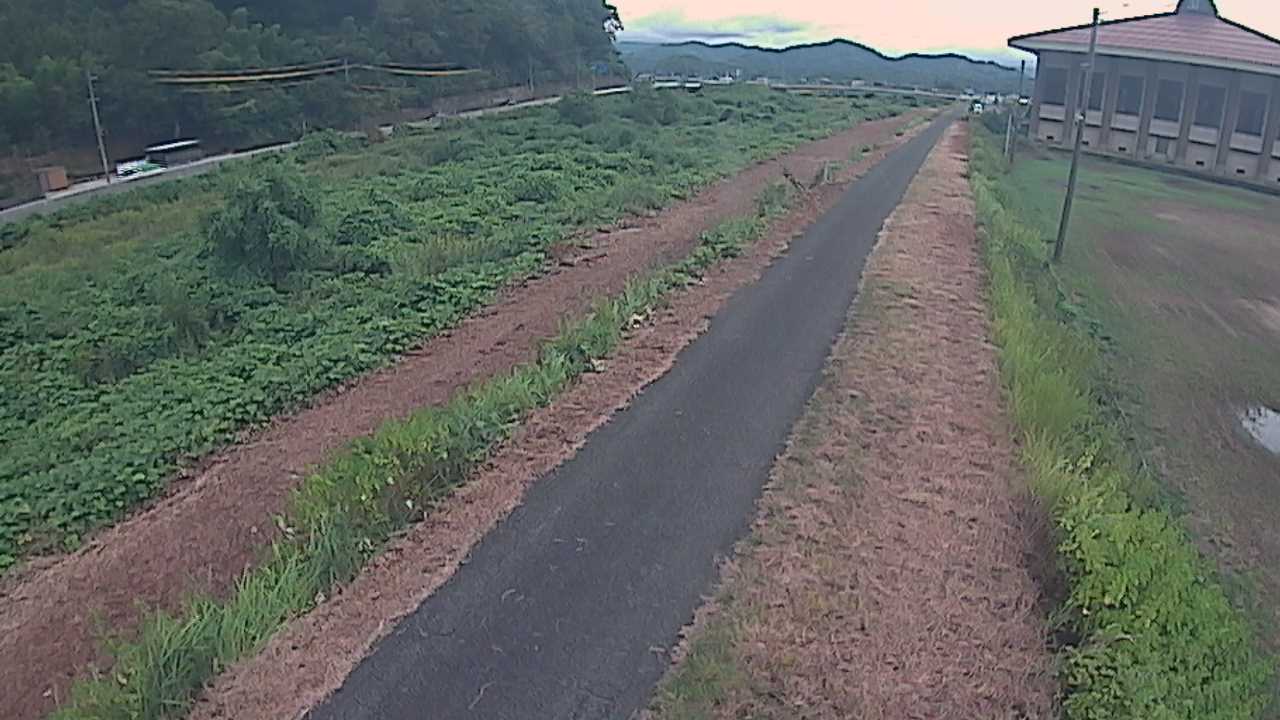 新袋川・袋川　6.6ｋｍ左岸