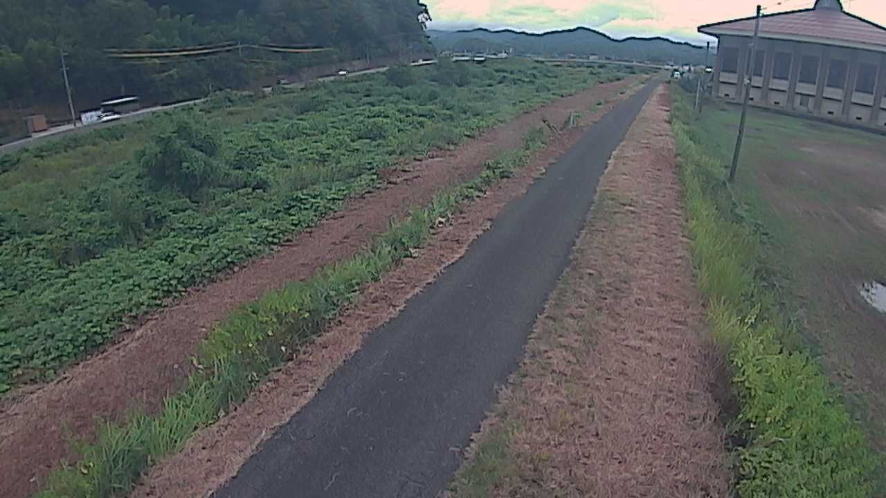 新袋川・袋川　6.6ｋｍ左岸
