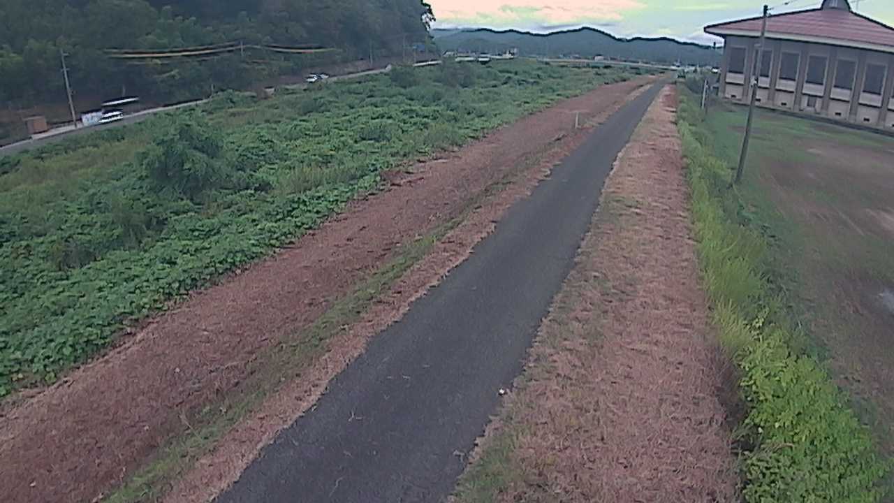 新袋川・袋川　6.6ｋｍ左岸