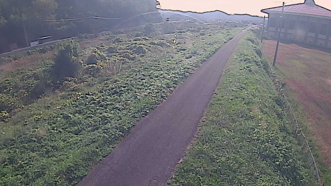 新袋川・袋川　6.6ｋｍ左岸