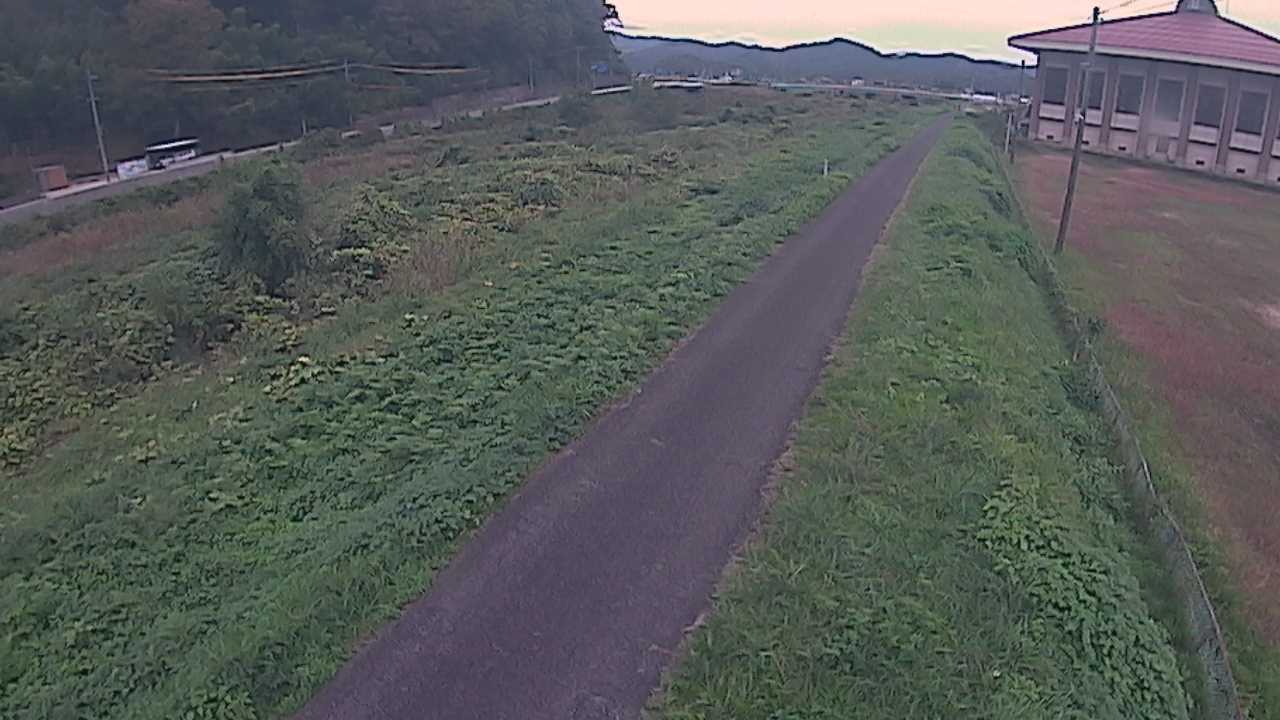 新袋川・袋川　6.6ｋｍ左岸