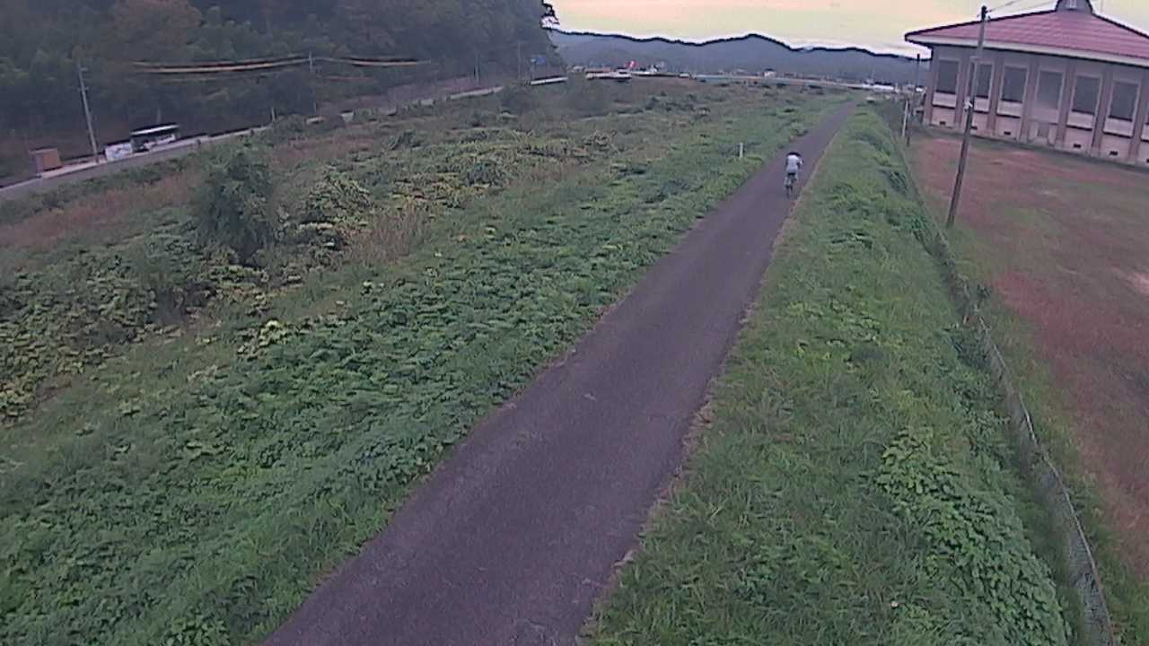 新袋川・袋川　6.6ｋｍ左岸