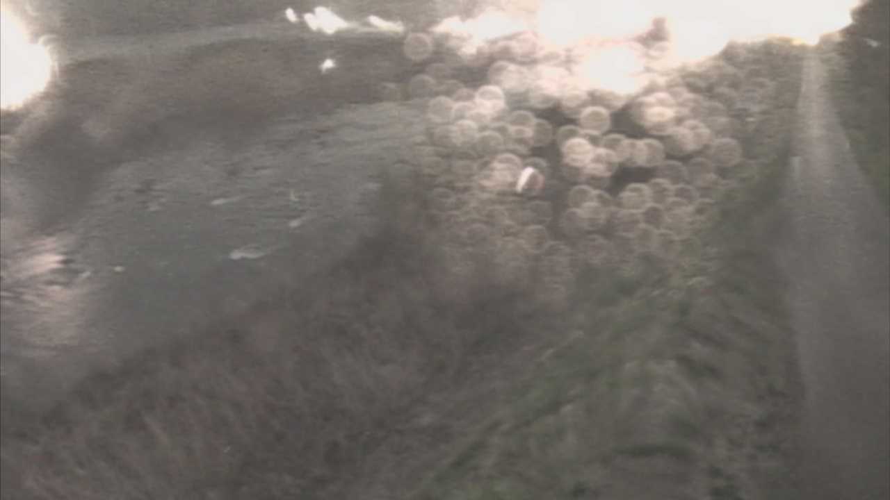 天神川　12ｋ300右岸