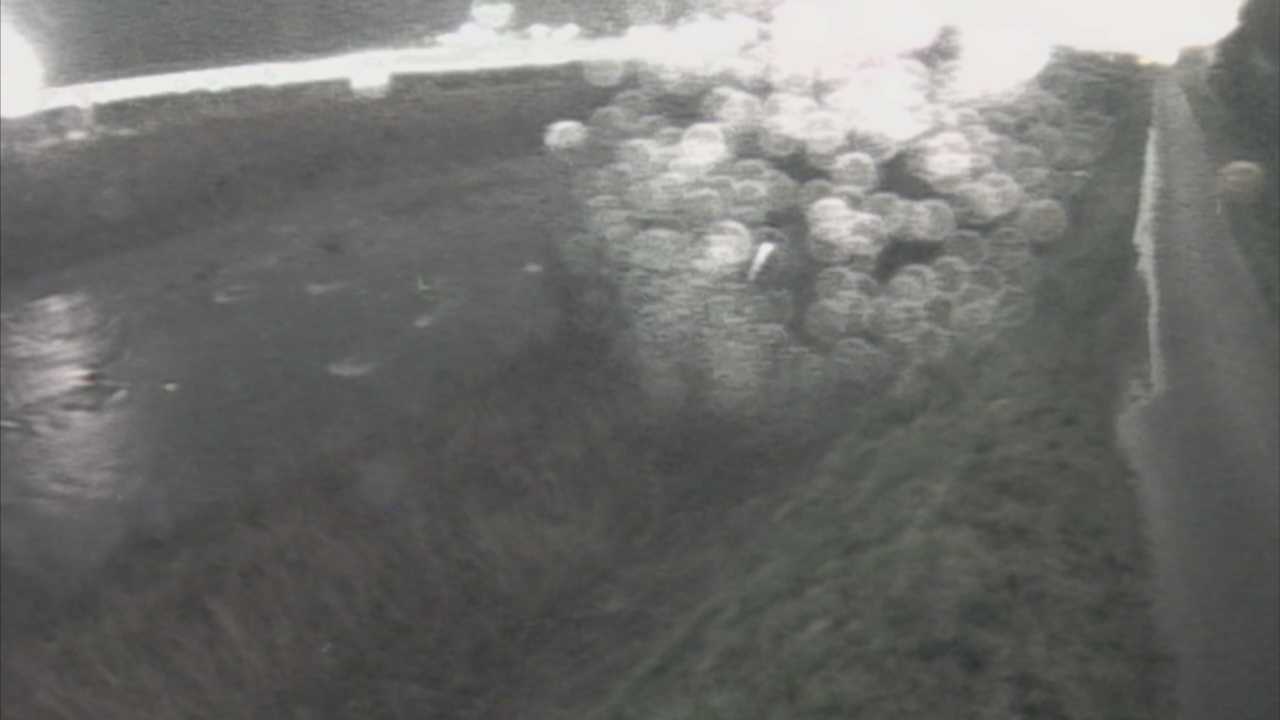 天神川　12ｋ300右岸