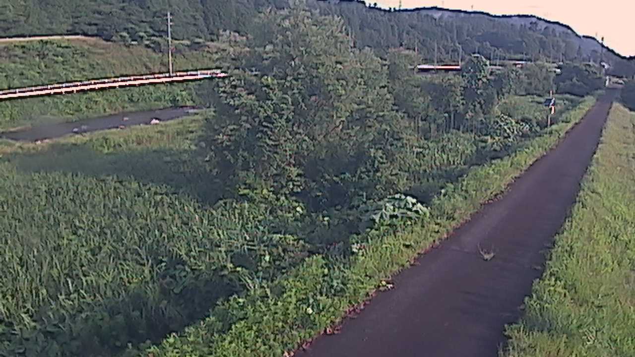 天神川　13ｋ300右岸