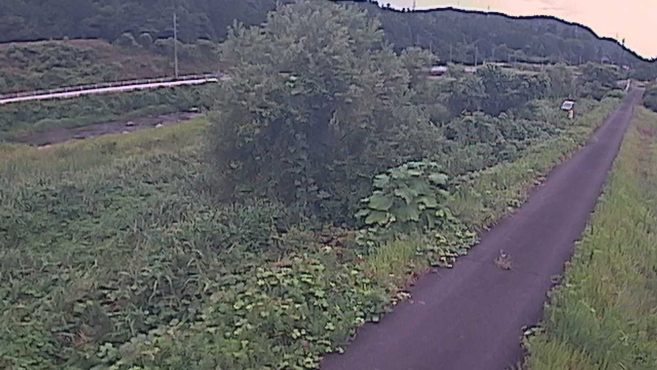 天神川　13ｋ300右岸