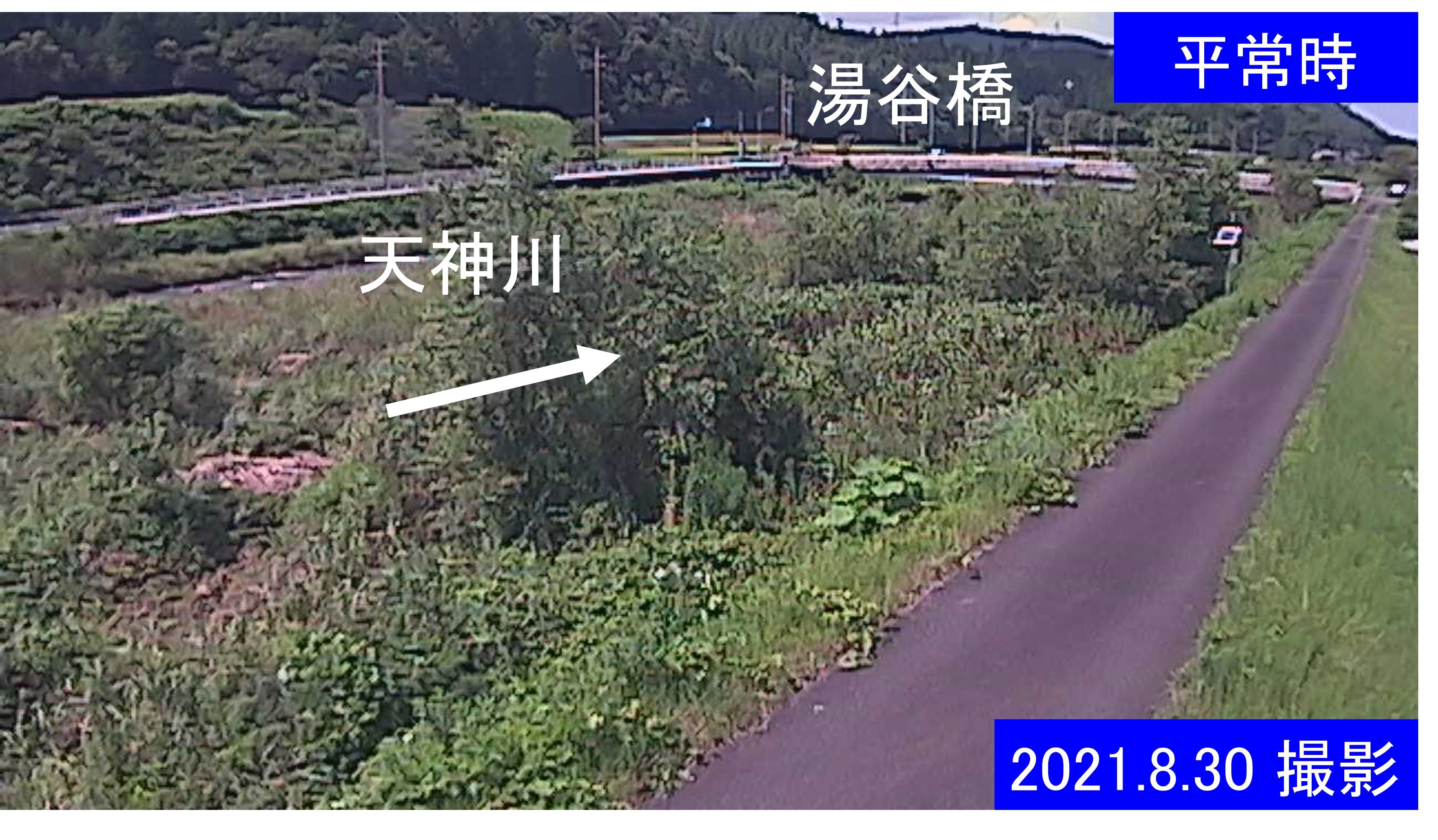 天神川　13ｋ300右岸(通常の水位)