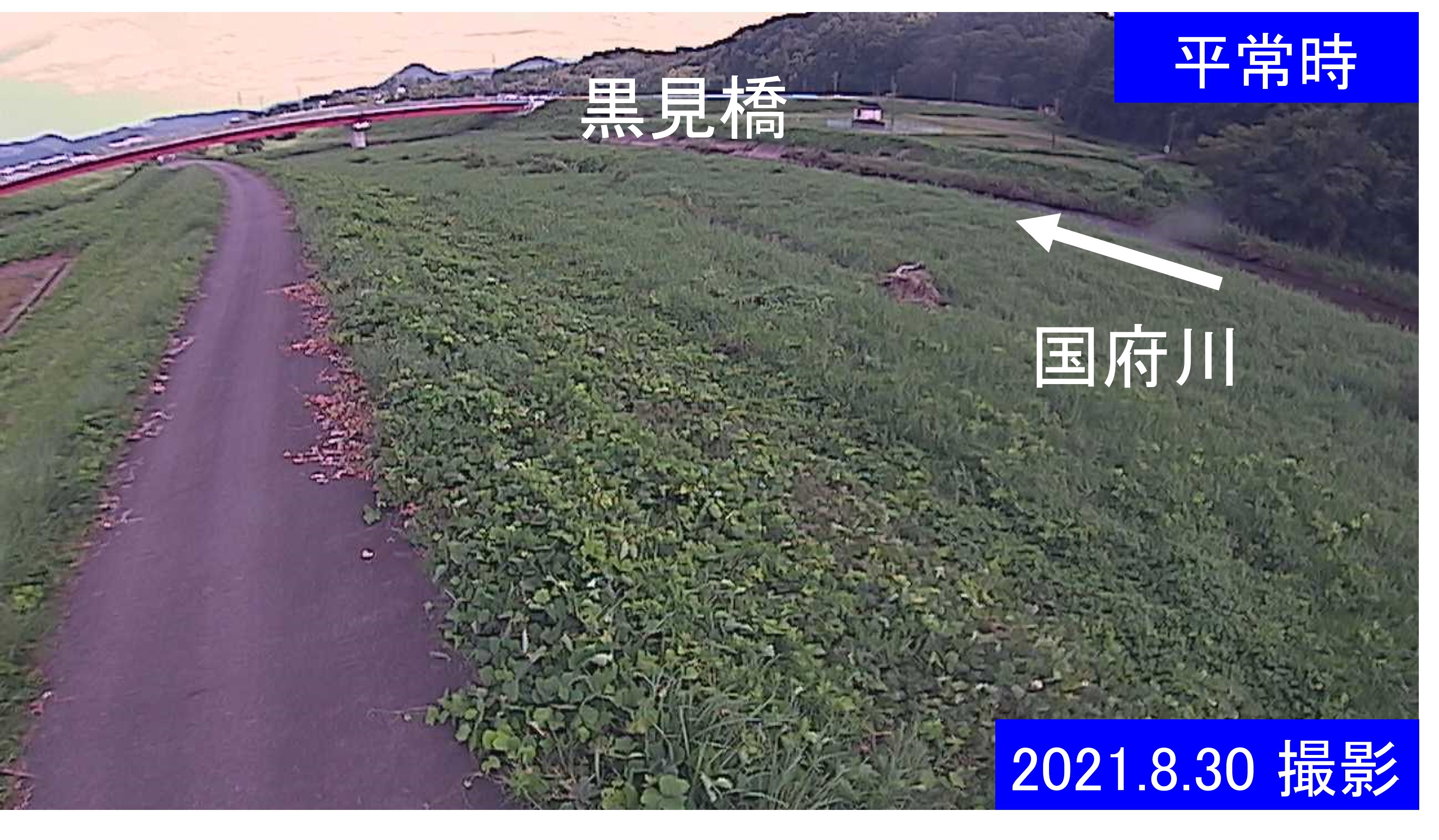 国府川　4ｋ900左岸(通常の水位)