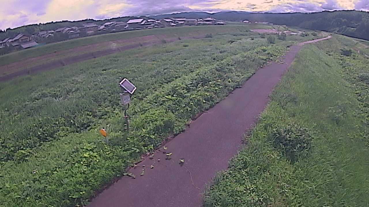国府川　6ｋ800右岸