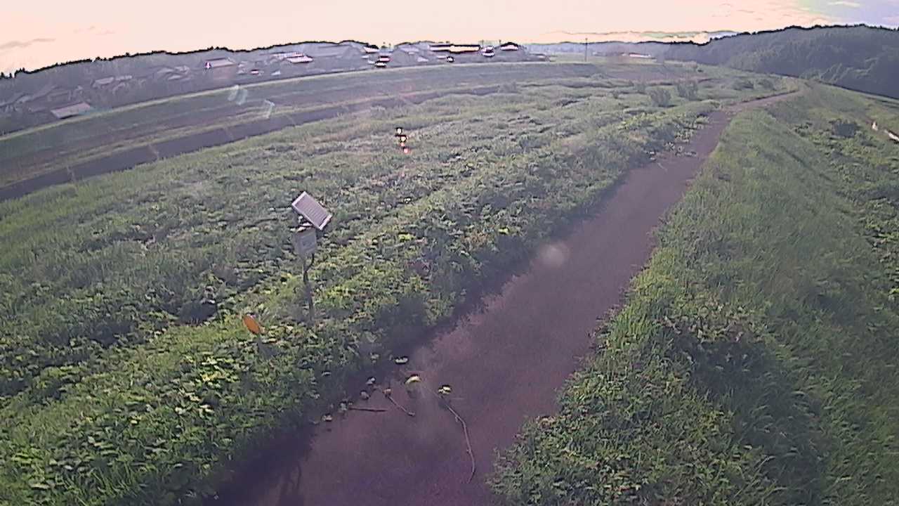 国府川　6ｋ800右岸