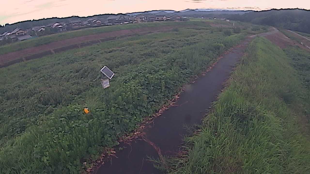 国府川　6ｋ800右岸