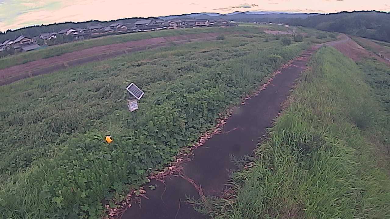 国府川　6ｋ800右岸
