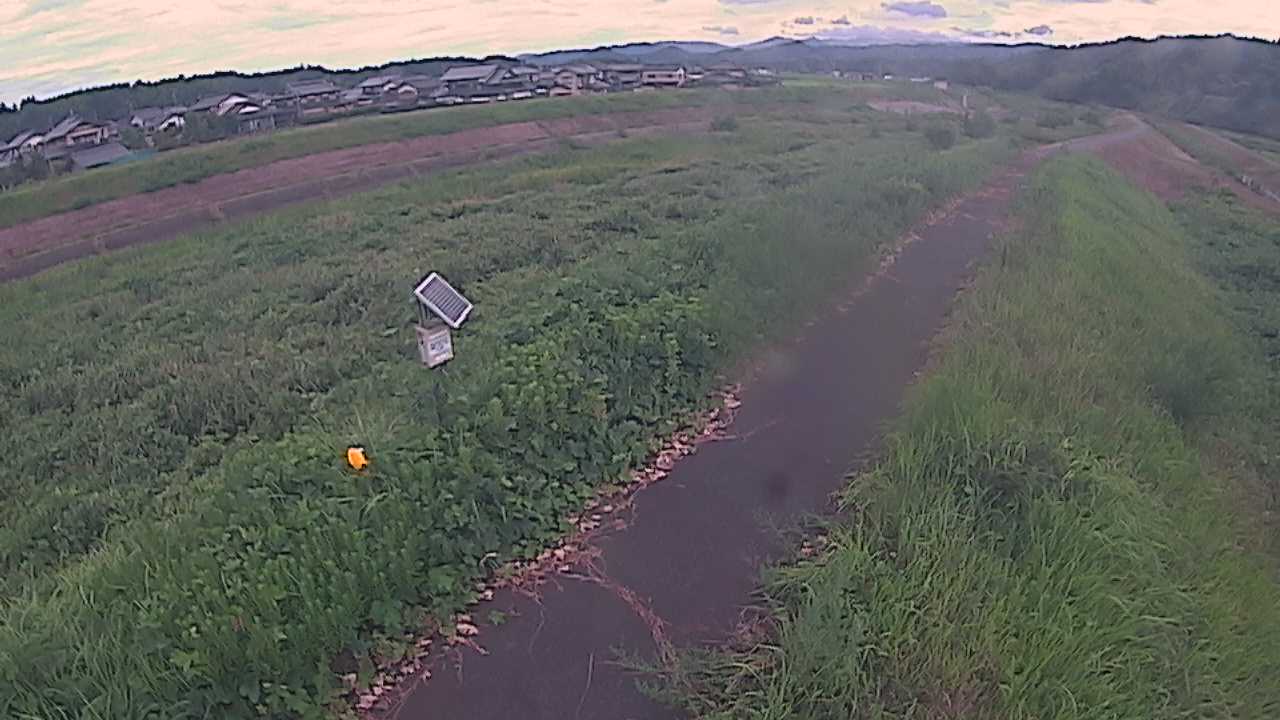 国府川　6ｋ800右岸