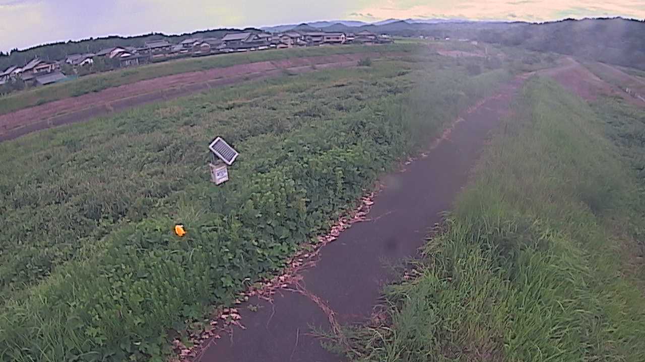 国府川　6ｋ800右岸