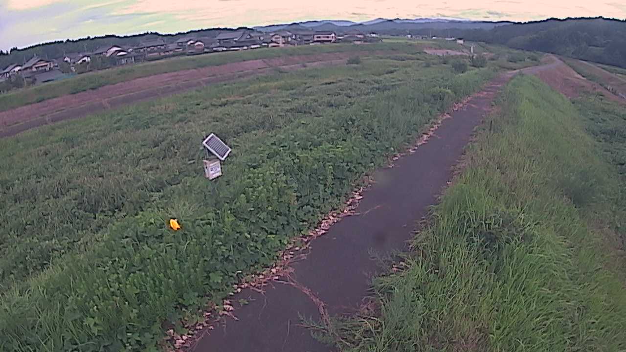 国府川　6ｋ800右岸