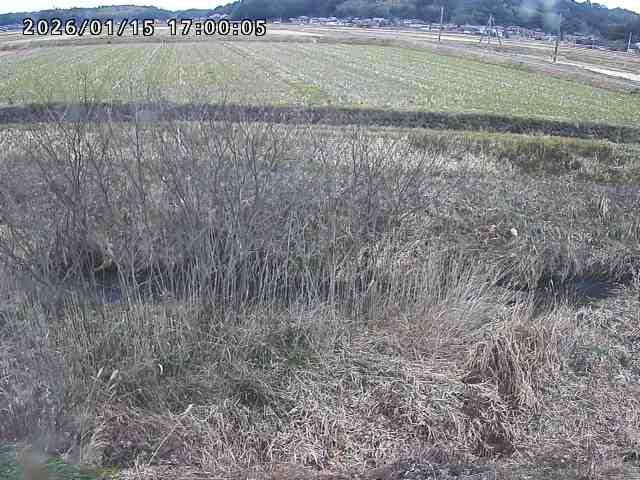 朝鍋川１2026/01/16 17:30:00