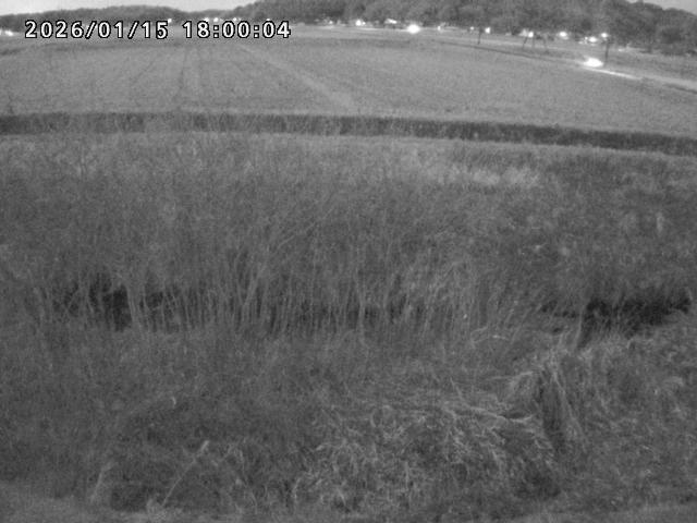 朝鍋川１2026/01/16 17:30:00